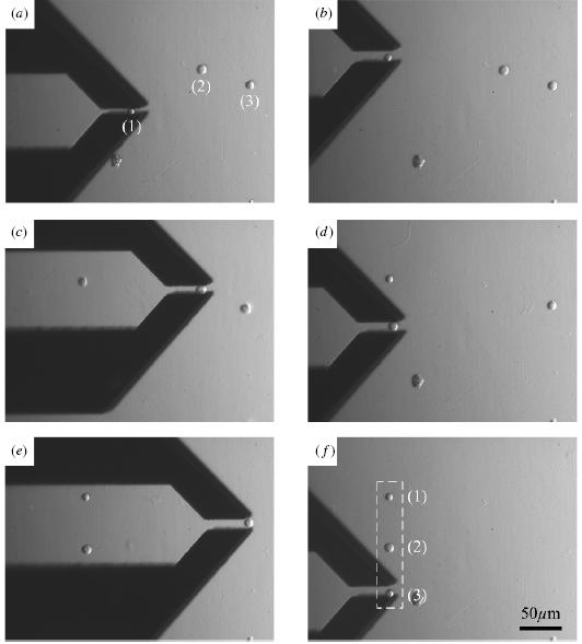 Cell Manipulation