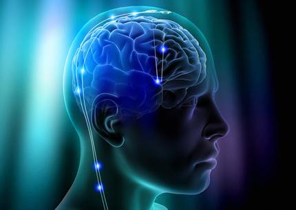 Brain regions 'tune' activity to enable attention