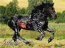 Eye Popping Pics of Cyborg Animals from Photoshop Contest