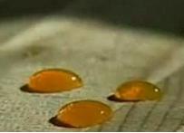Impressive Nano Layer of Liquid Glass To Coat Every Surface in Your Life