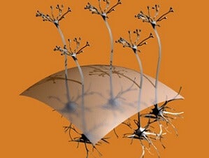 cortexica-brain