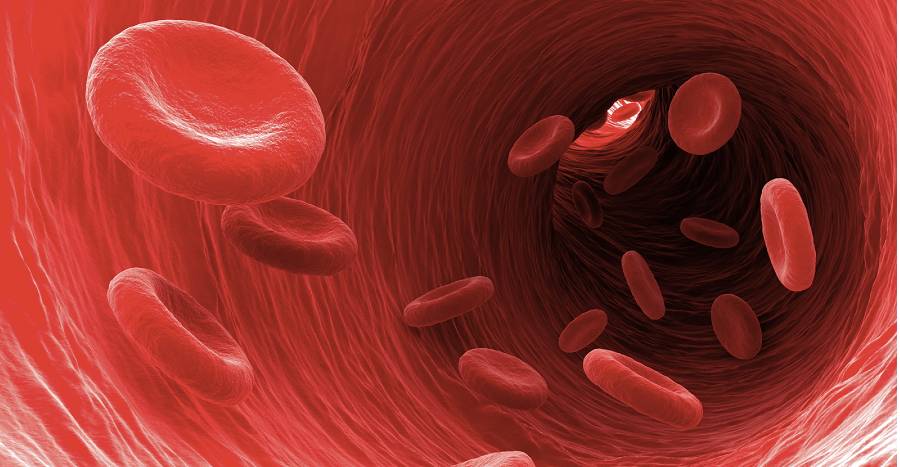 “Good” Cholesterol Not So Good After All, New Study Shows