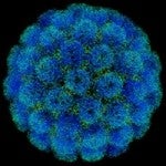 virus