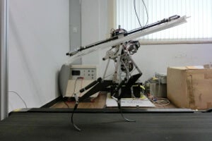 Velociraptor Robot Can Run Down a Human (Luckily, It Lacks Claws)