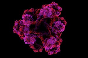 Cancer Metastasis Reduced Up to 90% in Mice Using Engineered Decoy Protein