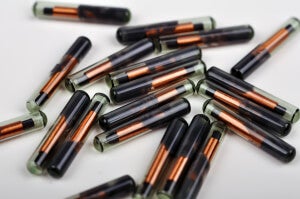 Summit Europe: Chip Implants Easy as Piercings