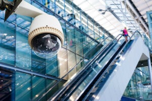 Coming Data Deluge Means You'll Know Anything You Want, Anytime, Anywhere