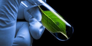 Should scientists attempt to create artificial life?