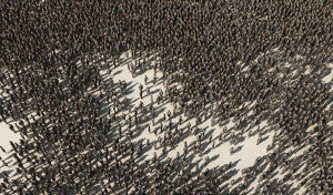 Revolution in Fundraising