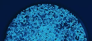 We Can Shuttle Mind-Boggling Gobs of Data Worldwide in an Instant--But We Want More