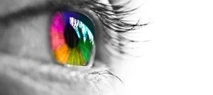 When Machines Can Do Most Jobs--Passion, Creativity, and Reinvention Rule