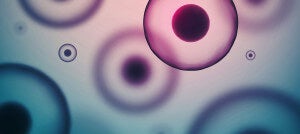 How Stem Cells May Save Your Life--and Even Extend It