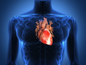 Your Doctor Can Now Examine an Exact 3D Replica of Your Heart in Virtual Reality
