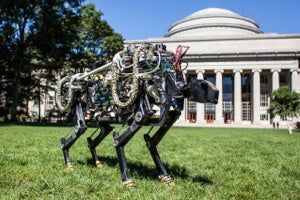 Robot Cheetah Breaks Free of Its Tether, Now Runs on Batteries