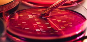 A Genomics Revolution: Evolution by Natural Selection to Evolution by Intelligent Direction