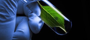 Is Technology Unnatural--Or Is It 'What Makes Us Human'?