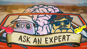 Take a Deep Dive into the Brain with This Week's Episode of Ask an Expert [Video]