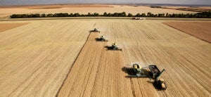 Will Artificial Intelligence Transform How We Grow and Consume Food? [Video]