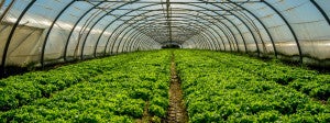 Robots, Bioprinting, and the Future of Food [Video]