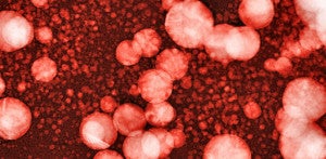 Exponential Medicine: The Most Advanced Nanotechnology Today Is Already Inside You