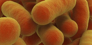 Bugs as Drugs: Seeking Microbial Cures Inside the Body