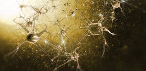 Hacking the Brain -- Restoring Lost Abilities With the Latest Neurotechnologies
