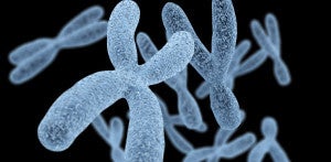 Gene Drives Could Wipe Out Insect-Borne Disease -- But What's the Price?