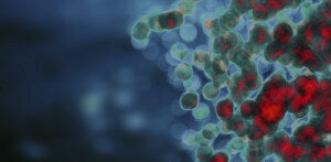 How Artificial Immune Systems May Be the Future of Cybersecurity