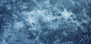 Singularity University Holiday Letter: 2015 Was Good, 2016 Will Be Great
