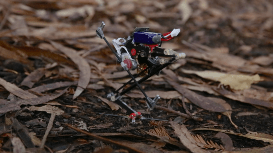 When the Worst Happens, These Amazing Robots Will Come to the Rescue