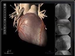 100-ipads-hospital-citrix