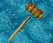 stem-cells-blocked-by-judge