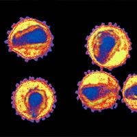 genetic-secret-controls-AIDS