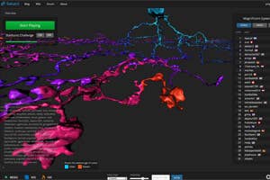 medical research, social gaming, connectome, technology, open science
