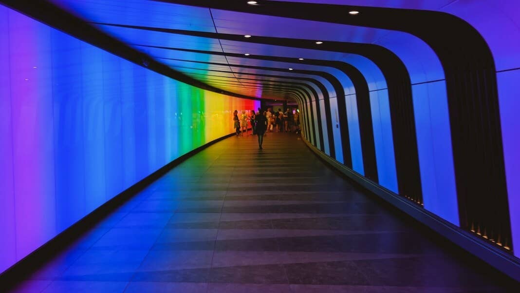 7 skills jobs of the future