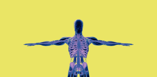 human-anatomy-see-through-xray-illustration-3d-rendering-yellow-background