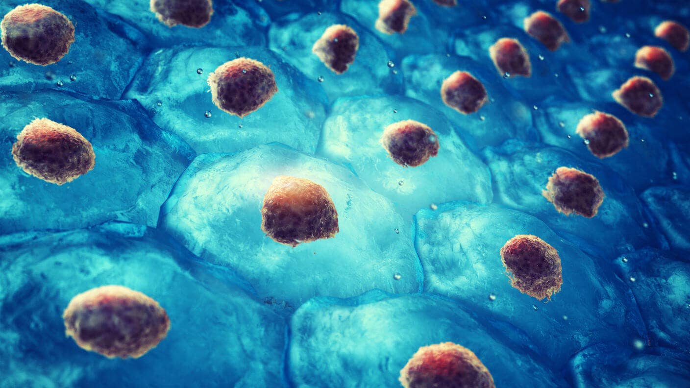 regeneration-transdifferentiation-stem-cell-cellular-reprogramming