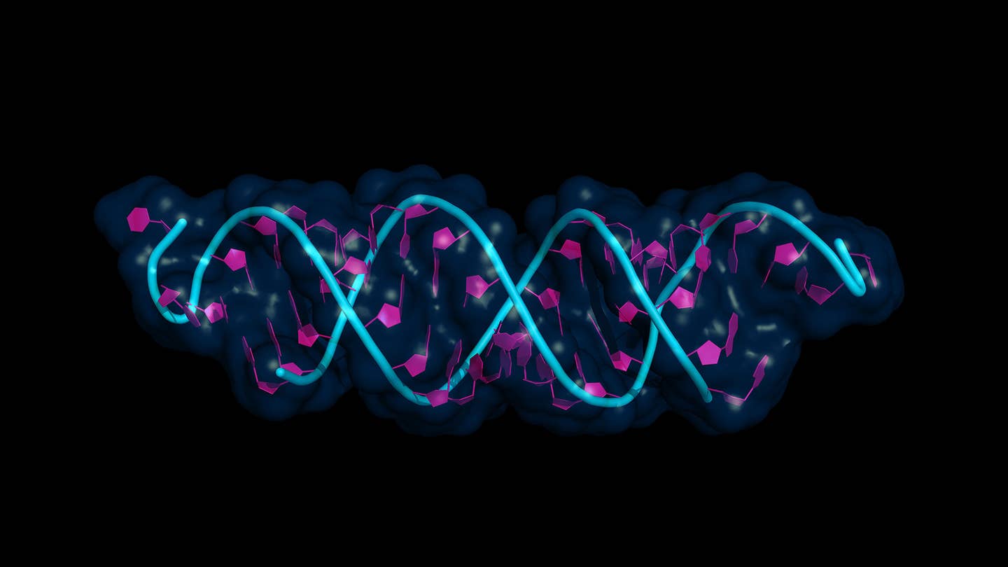 small interfering RNA bound messenger cartoon