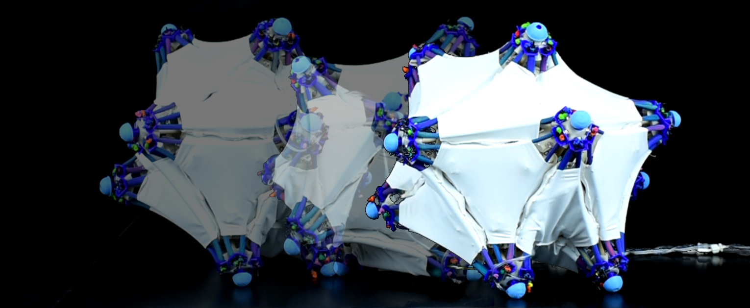 This Robotic Skin Makes Inanimate Objects Move