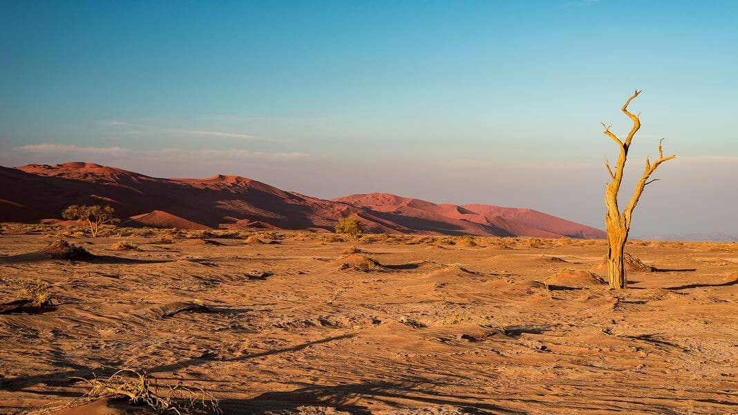 climate change effect