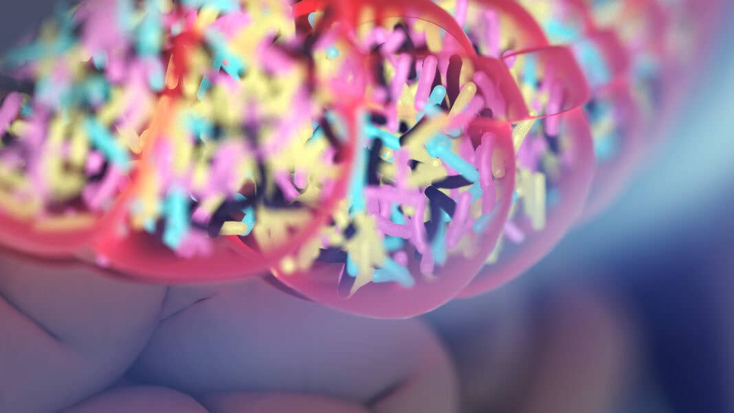 gut bacteria microbiome ALS