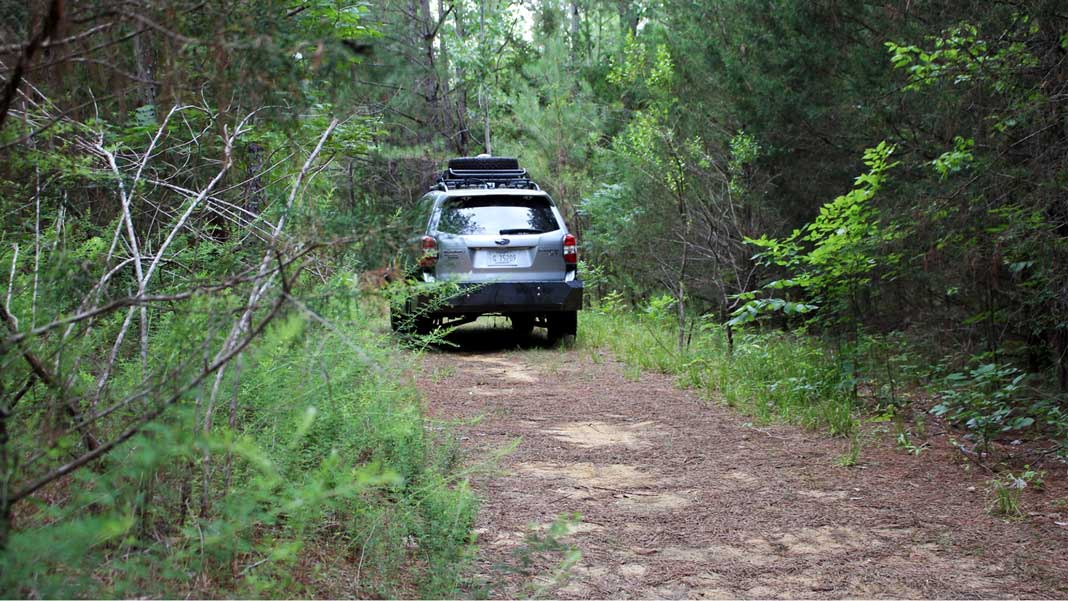 self driving car heads into the woods