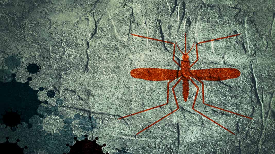 mosquito shape on textured background