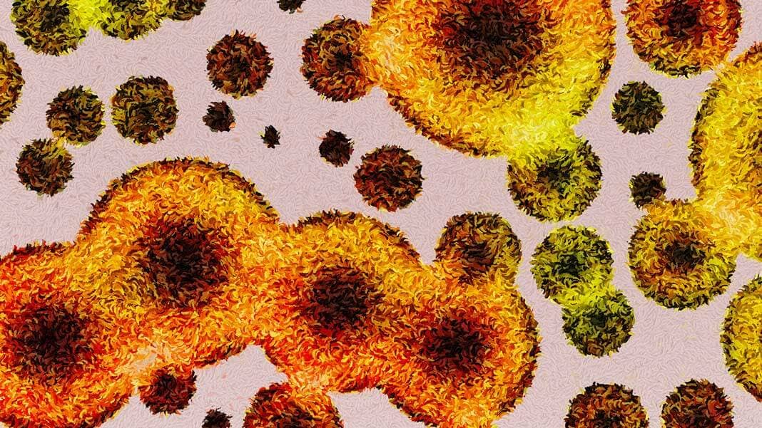 bacterial colony microbiome biodiversity abstract