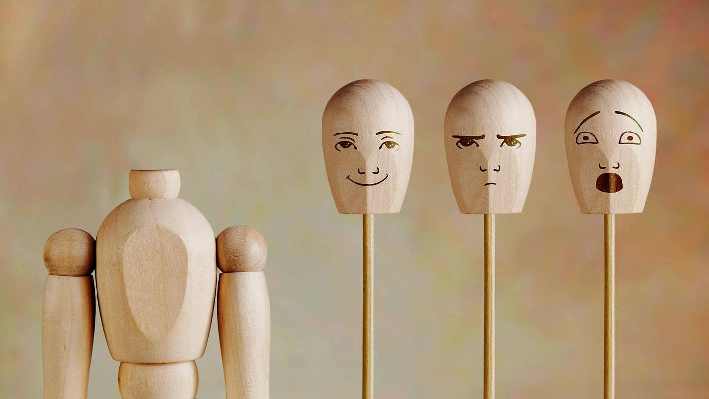 various human emotions wood model