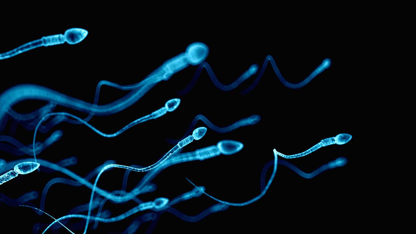 medically accurate human sperms future of health