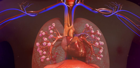 realistic illustration human lungs heart future of health