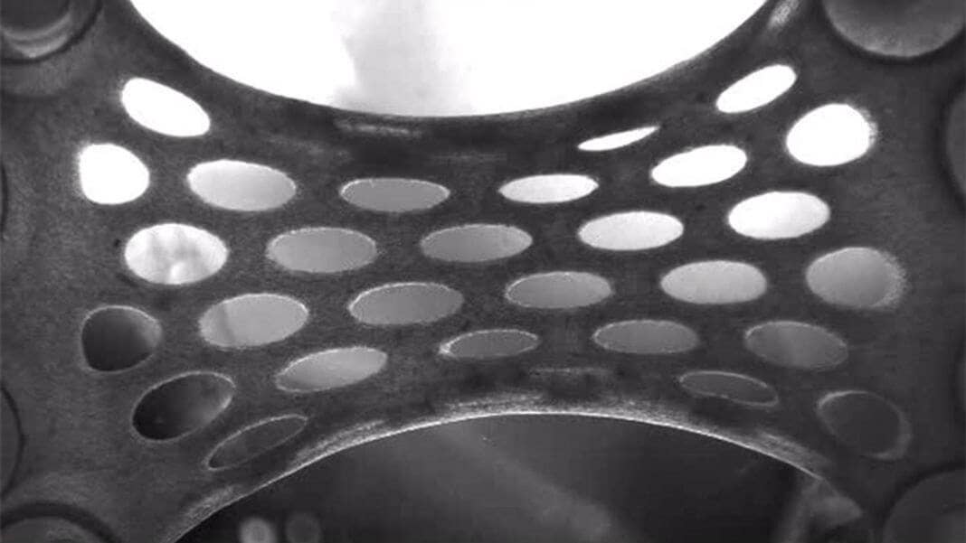 lab grown heart patch stem cell