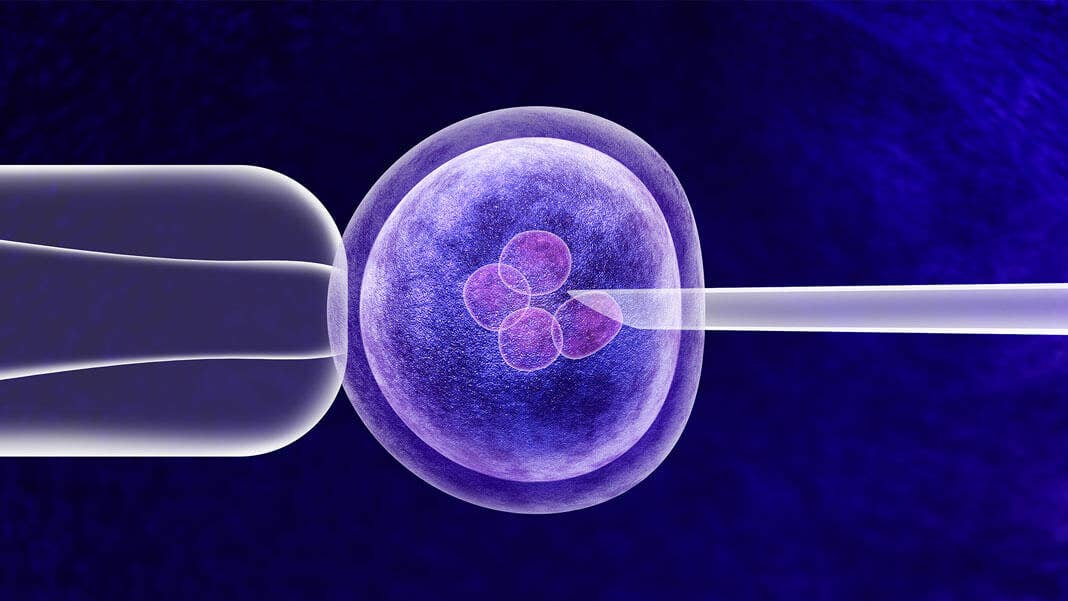 gene editing vitro genetics crispr