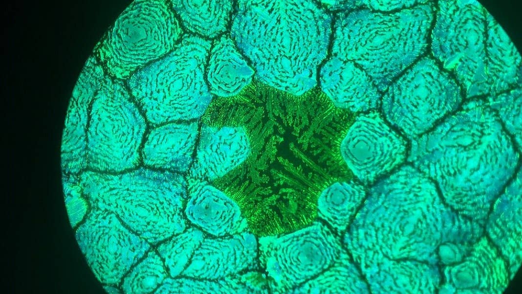 lead halide perovskite energy